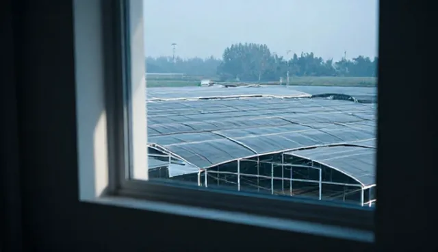网络技术开发:短视频运营的使用与维护建议
